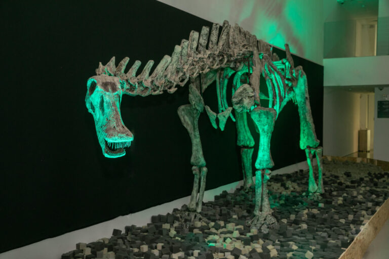 תערוכת דינוזאורים – ענקי הפטגוניה